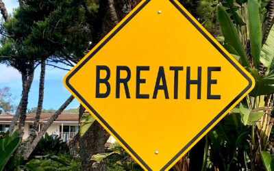 Healing Trauma & PTSD through Breathwork